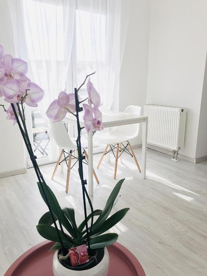 Belvarosi Studio Apartman 케치케메트 외부 사진